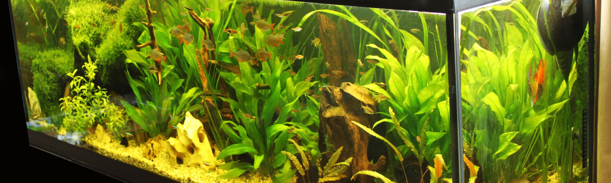 aquariumlicht.de Marken